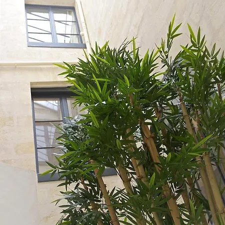Apartment Baroque